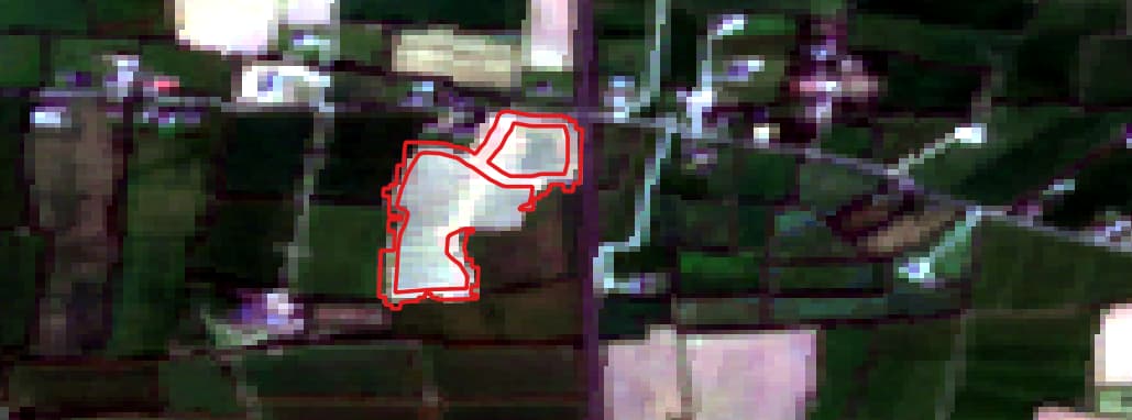 Areas of possible hedge removal