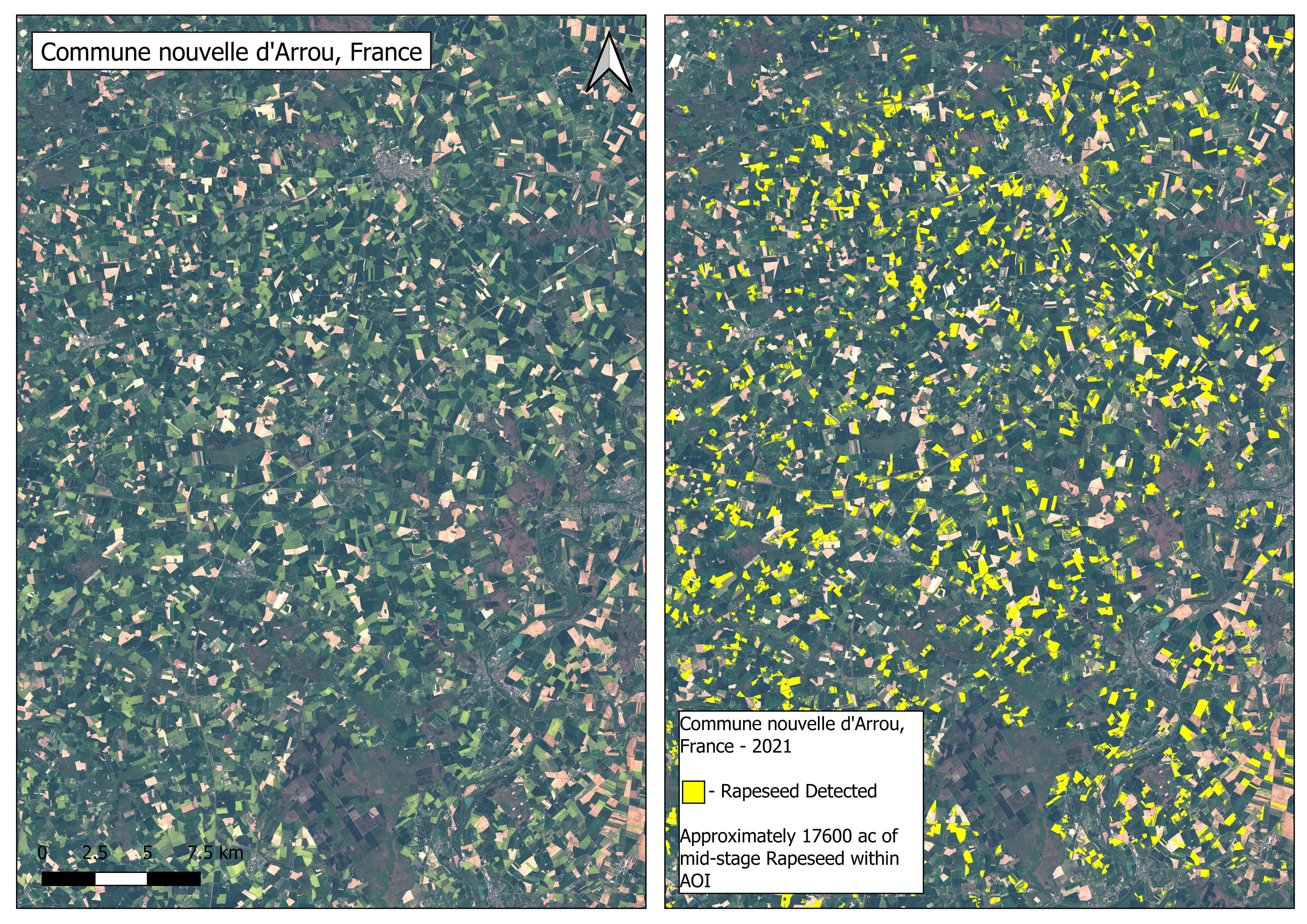 Rapeseed detection in France