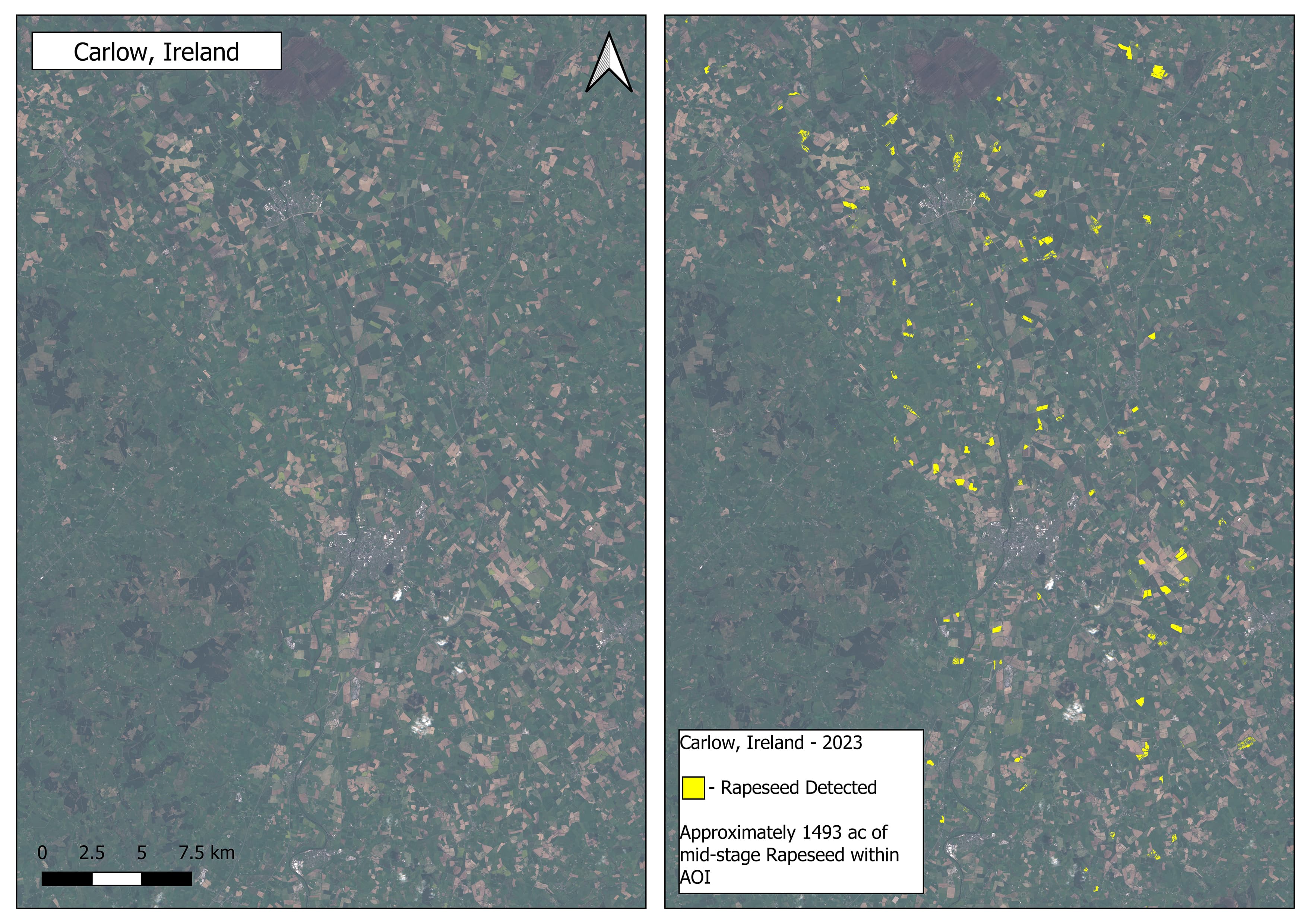 Rapeseed detection in Ireland