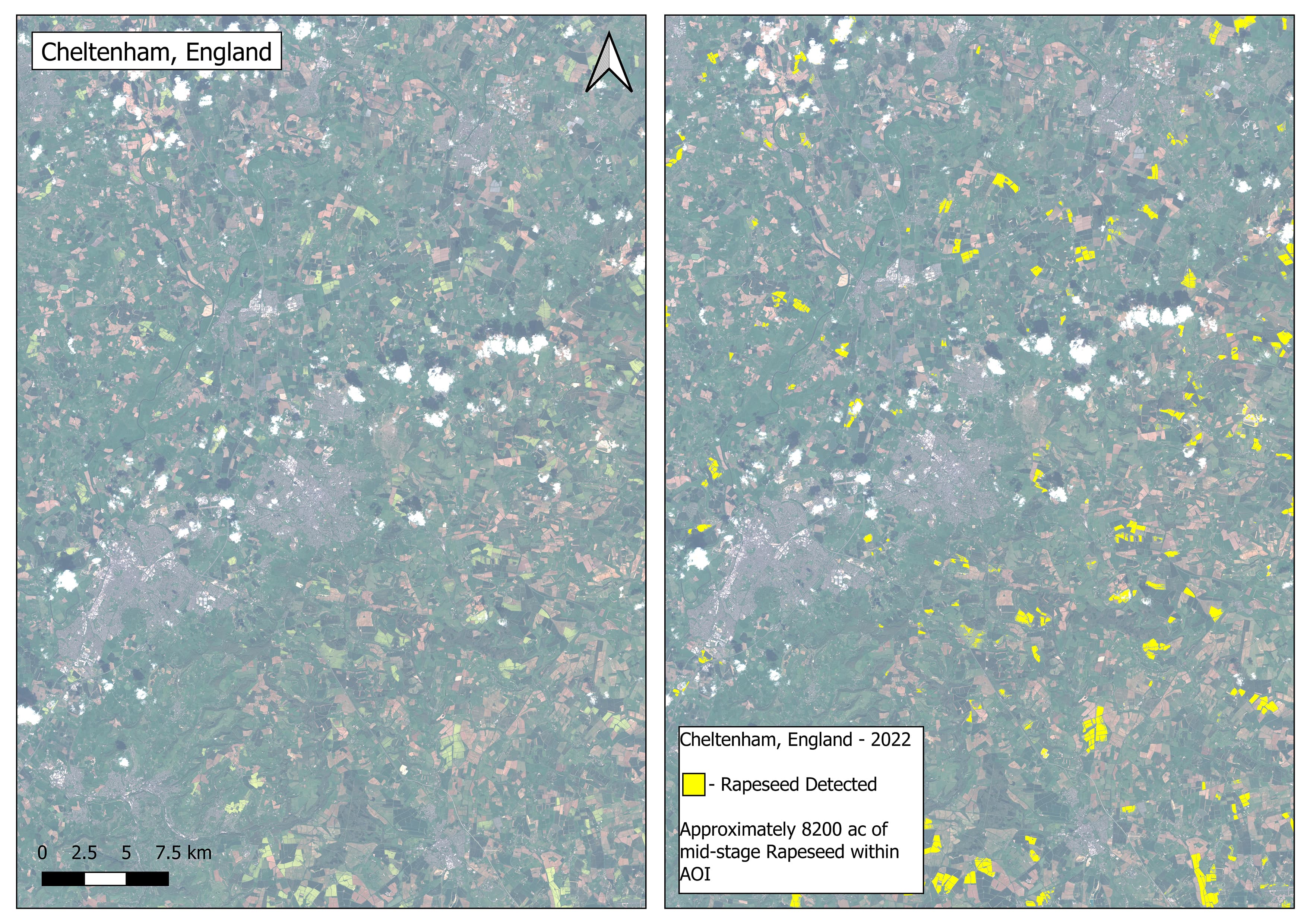 Rapeseed Detection in United Kingdom